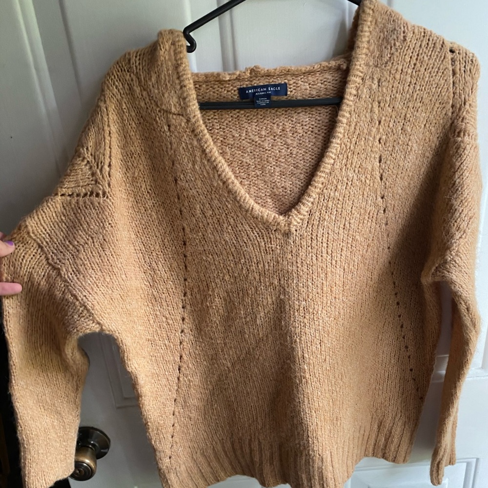 American Eagle Hooded Sweater